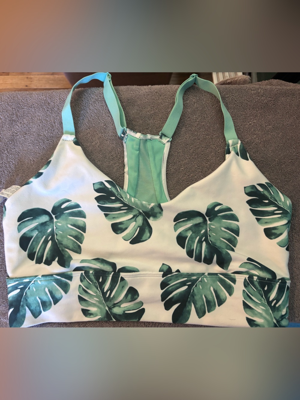 Wildfox Seafoam Green Sports Bra